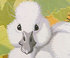 The Ugly Duckling